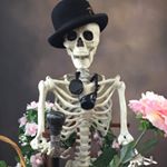 Profile Picture of Joseph David (@humancreativeproject) on Instagram