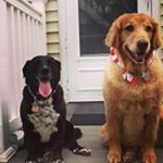 Profile Picture of steve bair (@bair.steve) on Instagram