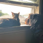 Profile Picture of Lisa Chaney (@@OwlCityLove12) on Tiktok
