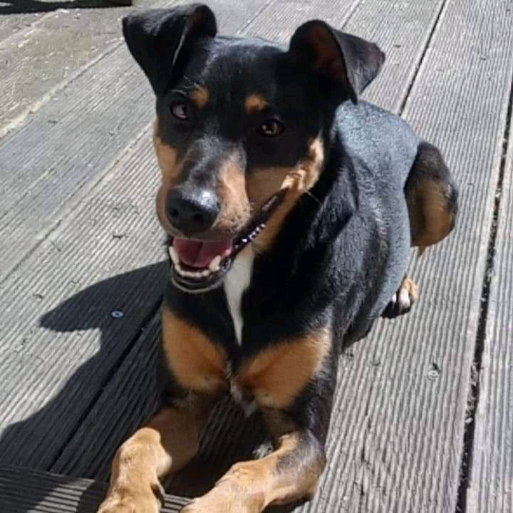 Profile Picture of Jeff Gilles (@karmeliett75cl) on Tiktok