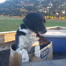 Simon Fowler - Twitter Profile Picture of Simon Fowler (@SimonTWFowler) on Twitter