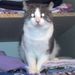Profile Picture of Nelson Key (@nelsonkey) on Pinterest
