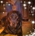 Profile Picture of Shirley Engle (@shirley.engle.775) on Facebook