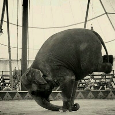 Profile Picture of Jacob Jankowski (@EmmaOENG4U) on Twitter