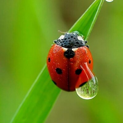 Profile Picture of Eva Pashkoff (@EvaPashkoff) on Twitter