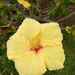 Profile Picture of Kris Adair (@krisadair) on Pinterest