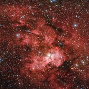 Profile Picture of Gustavo Wong (@gustavowong3786) on Youtube