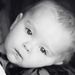 Profile Picture of Chris N Ginny Vender (@ginny1009) on Pinterest