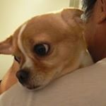 Profile Picture of Charlene Hsieh (@charlene47538) on Instagram