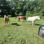 Profile Picture of Mathew Falling (@mathew.falling) on Facebook