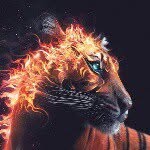 Profile Picture of Vincent Davis (@davis.vincent) on Instagram