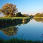 David - Instagram Profile Picture of David (@davo.filipek) on Instagram