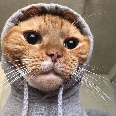 Profile Picture of Jeremy Chu (@Jeremychu18) on Twitter