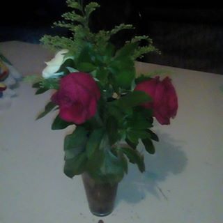 Profile Picture of Clemencia Corral Gomez (@clemencia.corralgomez) on Facebook