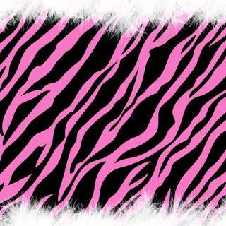 Jakob Land - Twitter Profile Picture of Jakob Land (@Jabok62405Jakob) on Twitter