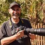 Profile Picture of Dave Berman (@bermandave) on Instagram