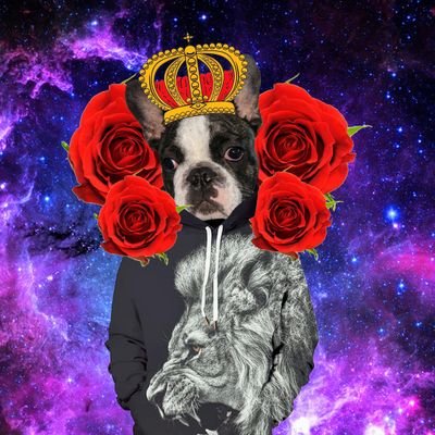 Samuel Thayer Madden - Twitter Profile Picture of Samuel Thayer Madden (@angelbyte55555) on Twitter