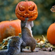 Profile Picture of Gregory Curry (@Globane) on Youtube