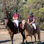 Profile Picture of Emily Phillips (@emily_eventing4543) on Instagram