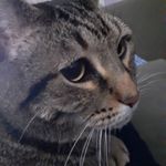 Profile Picture of marilyn lyon (@marilynlyon41) on Instagram