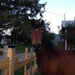 Profile Picture of Jo Roark (@jo.roark.52) on Instagram