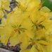 Profile Picture of Triệu Giang (@trieu.giang.5815) on Facebook