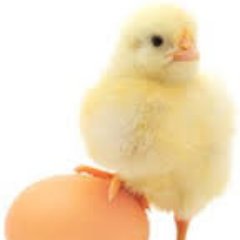 Profile Picture of Paul Gilliam (@Cant_get_in) on Twitter