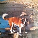 Profile Picture of Scott Teixeira (@scott.teixeira.75) on Instagram