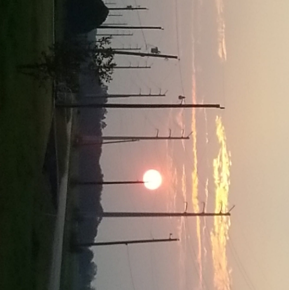 Profile Picture of Martin Velasquez (@martinvelasq830) on Poshmark