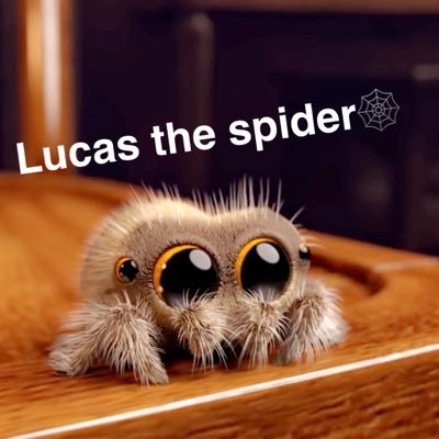 Profile Picture of Lucas The Spider🕸🕷on Twitter