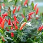 Profile Picture of Brian Kenneth (@Brian-Kenneth) on Facebook