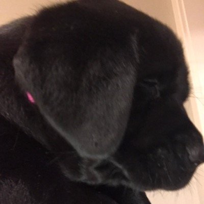 Profile Picture of Jacqueline Pender (@JPenderMath) on Twitter