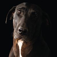 Profile Picture of Tanya Addison (@tanya-addison-2) on Quora