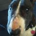 Profile Picture of Kelly Weimer (@kelly.weimer.507) on Facebook