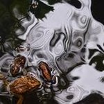 Profile Picture of barryweed (@barryweed__) on Instagram