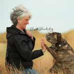 Profile Picture of Brigitte Brandenburg (@hunde.u.pferdefotografie) on Instagram