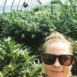 Profile Picture of Autumn Goodman (@autumnharvests) on Instagram