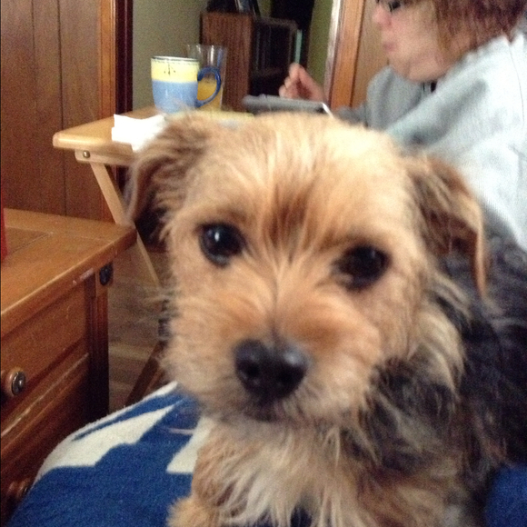 Profile Picture of Shawn Thompson (@mickeydog) on Poshmark