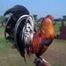 Profile Picture of Jorge Olivarez (@jorge.olivarez.750546) on Facebook