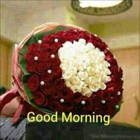 Profile Picture of Mukkamala Srinivas (@mukkamala-srinivas-1) on Quora