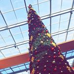 steven watson - Instagram Profile Picture of steven watson (@steven_whatson) on Instagram