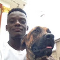Profile Picture of David Gad (@david-gad-3) on Quora