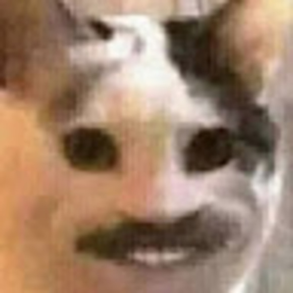 Profile Picture of Yee Yee (@yeeyee880) on Poshmark