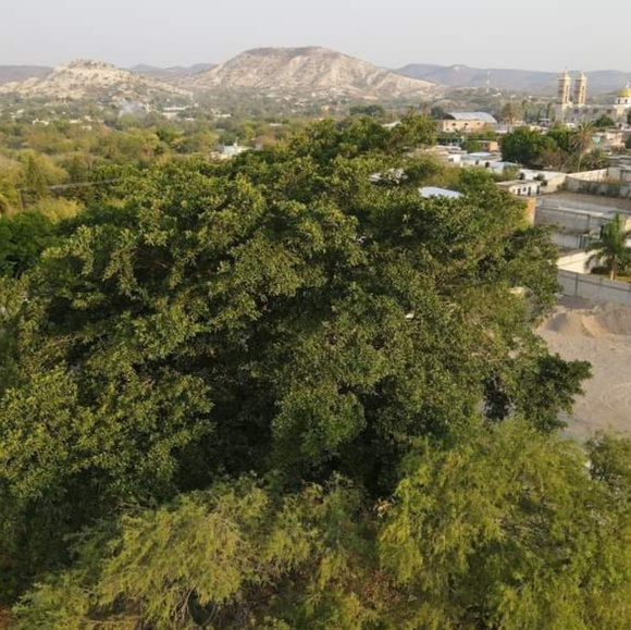 Profile Picture of Cristobal Miranda (@cristobalmir588) on Poshmark