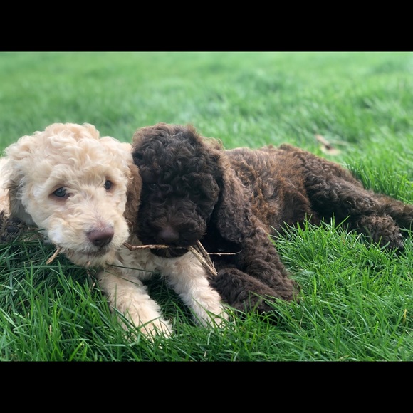 Profile Picture of Jordan Walraven (@walravj) on Poshmark