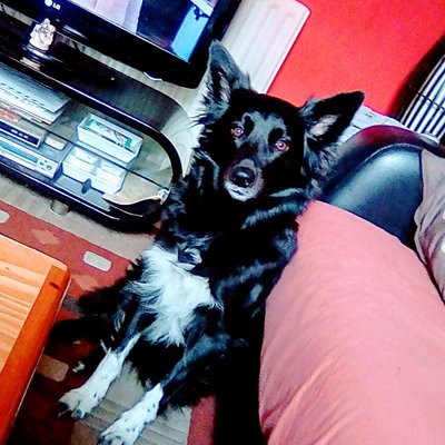 Profile Picture of Kevin Burr (@Kevinburr10) on Twitter