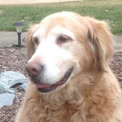 Profile Picture of Tim Killian (@Tkillian50) on Twitter