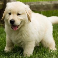 Profile Picture of Ava Platt (@ava-platt) on Quora
