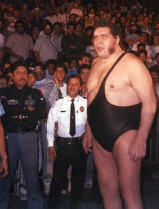 Profile Picture of André the Gianton Wikipedia