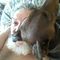 Profile Picture of David Castner (@david.castner.90) on Facebook